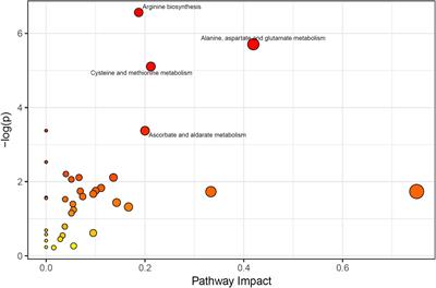 The Potential Regulatory Network of Glutamate Metabolic Pathway Disturbance in Chinese Han Withdrawal Methamphetamine Abusers